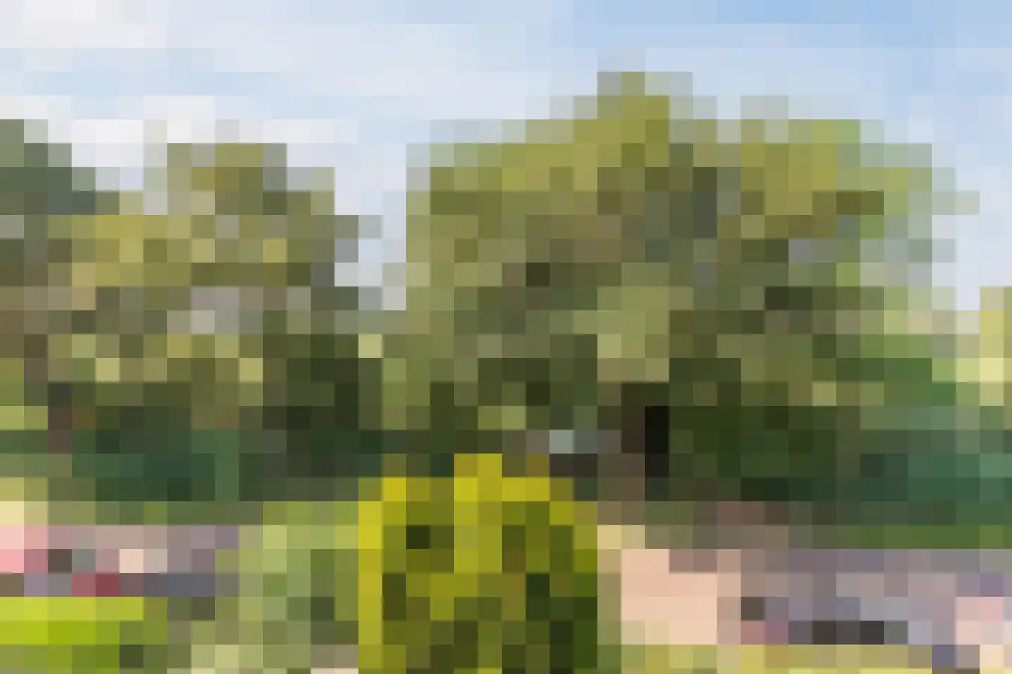Singel 27 Hillegom thumbnail 29