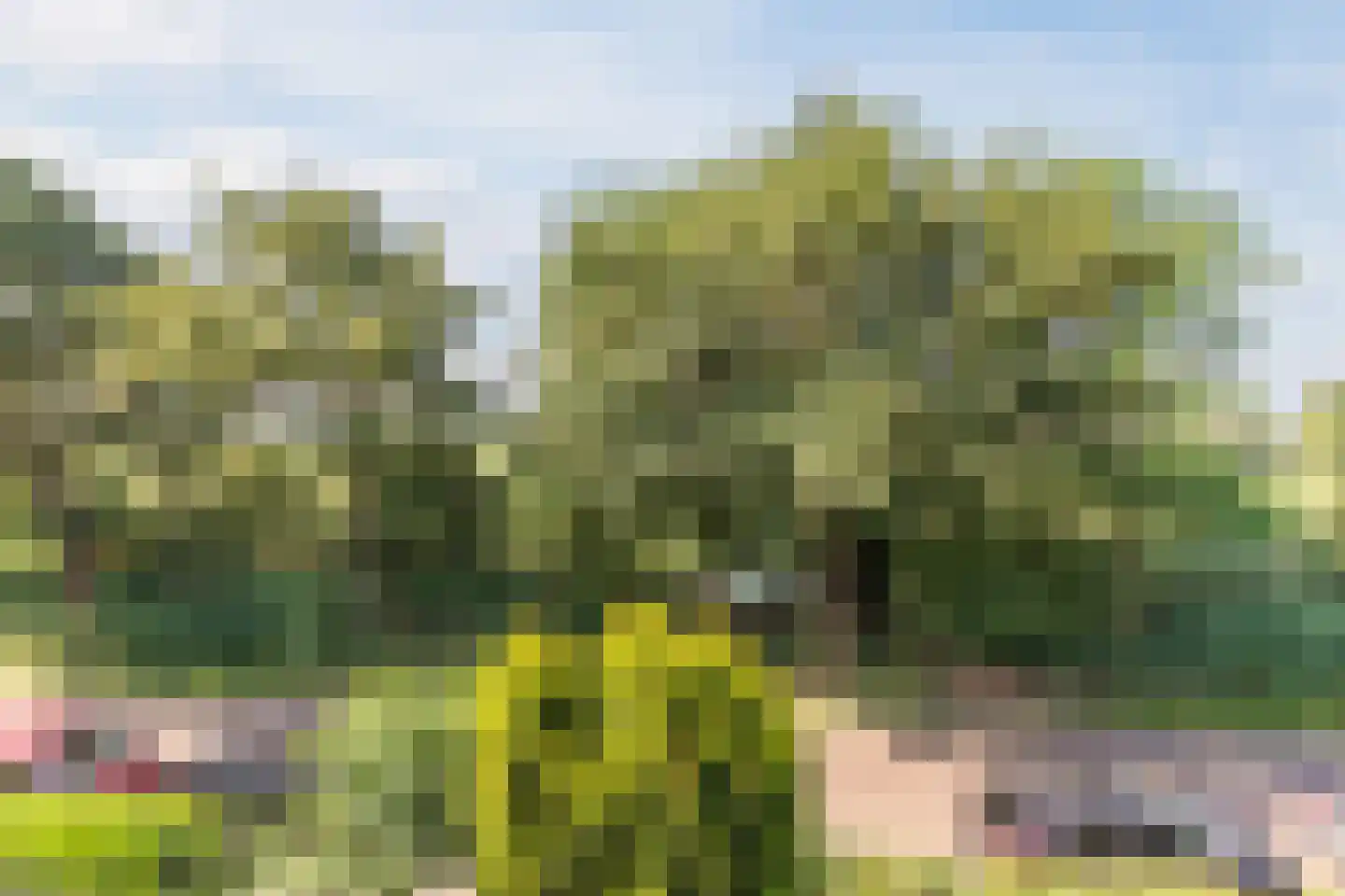 Singel 27 Hillegom thumbnail 29