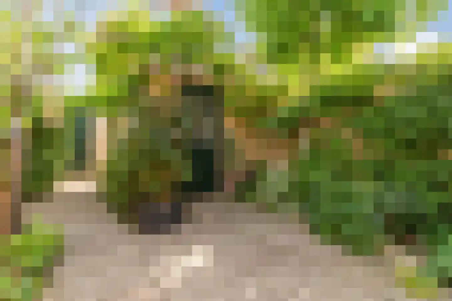 Singel 27 Hillegom thumbnail 30