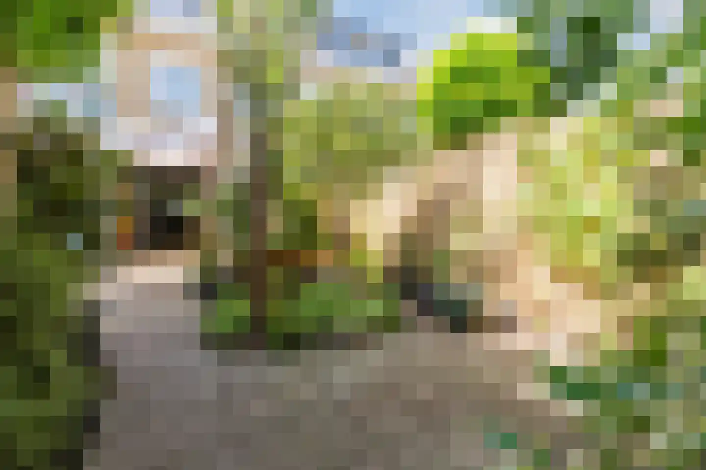 Singel 27 Hillegom thumbnail 33
