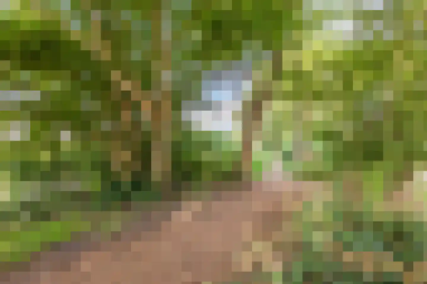 Singel 27 Hillegom thumbnail 35