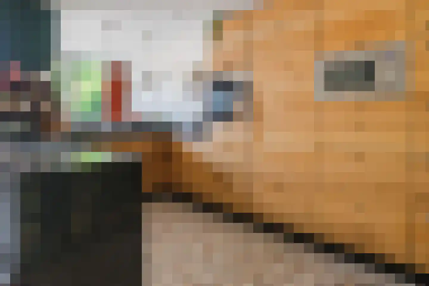 Singel 27 Hillegom thumbnail 9