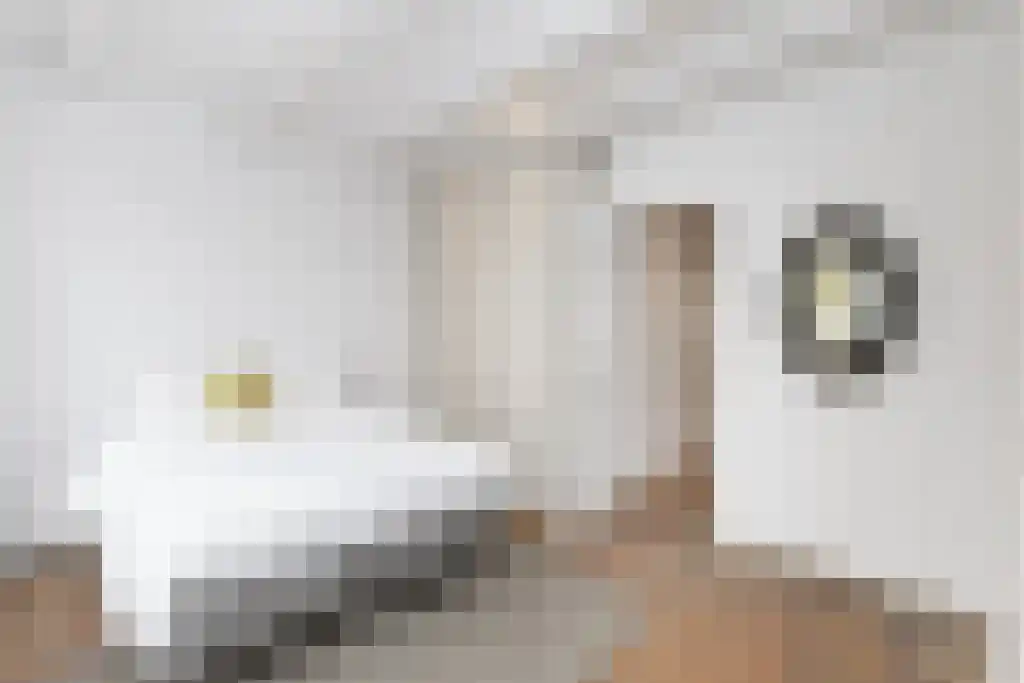Singel 276 1 Amsterdam thumbnail 5