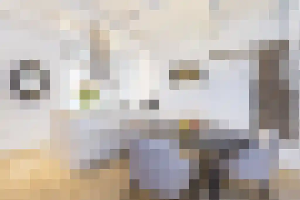 Singel 276 1 Amsterdam thumbnail 9