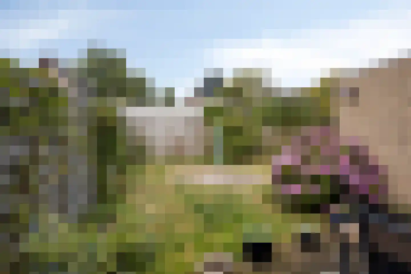 Singel 28 Nijland thumbnail 23