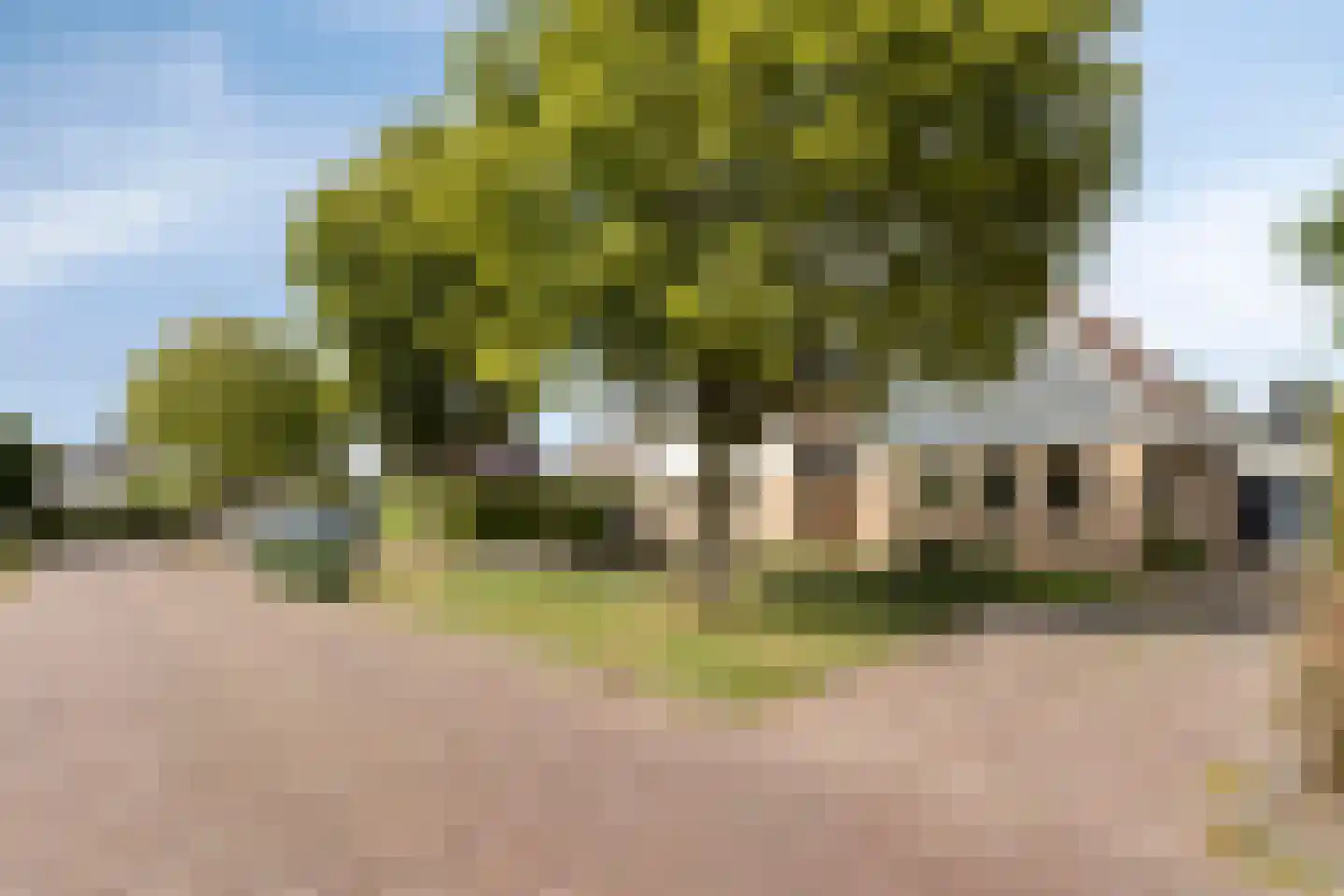 Singel 28 Nijland thumbnail 7