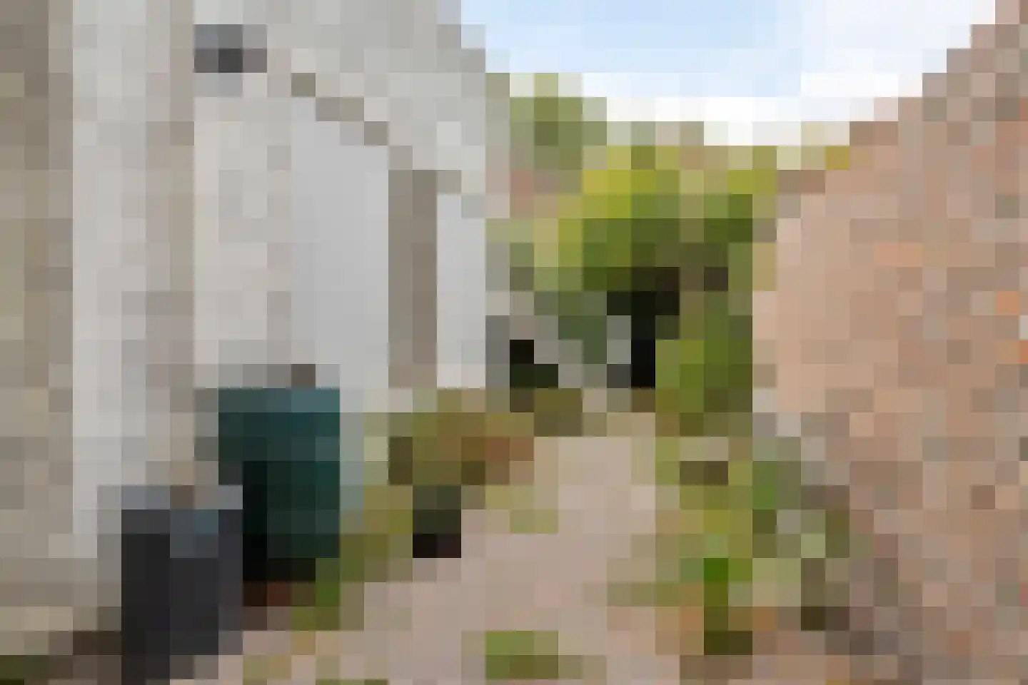 Singel 280 Vlissingen thumbnail 16