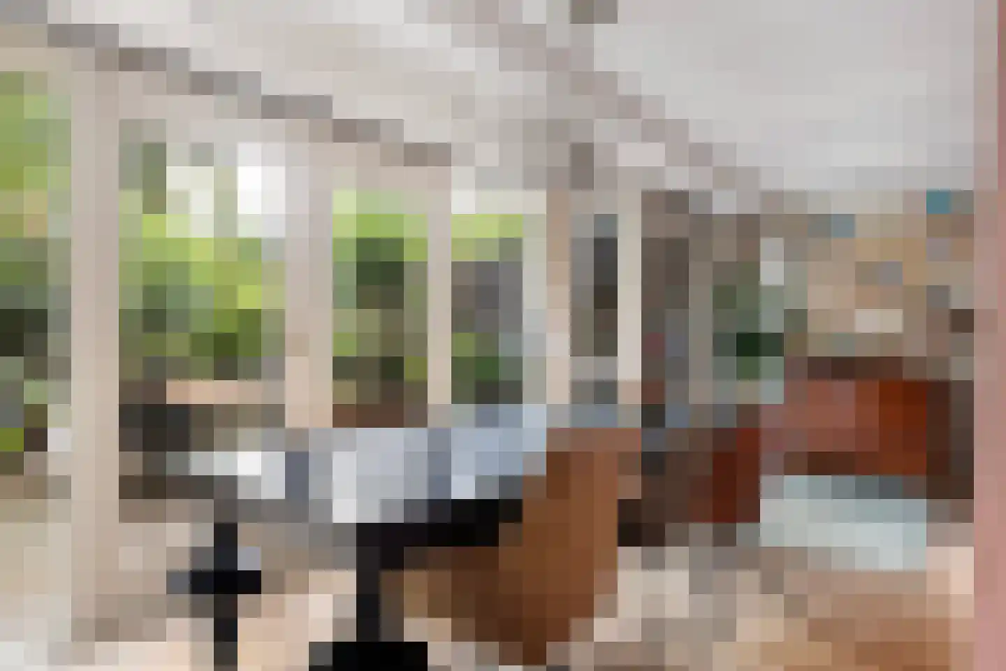 Singel 284 Dordrecht thumbnail 12