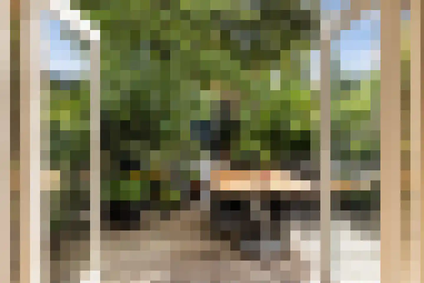 Singel 284 Dordrecht thumbnail 16