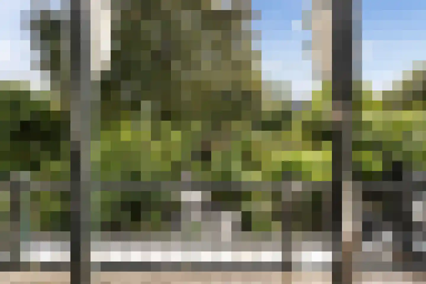 Singel 284 Dordrecht thumbnail 37