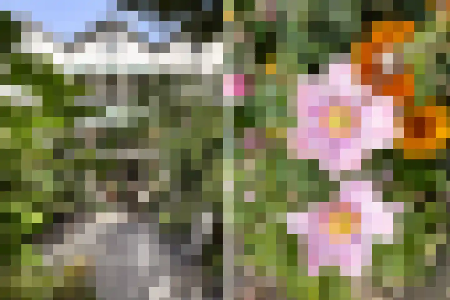 Singel 284 Dordrecht thumbnail 79