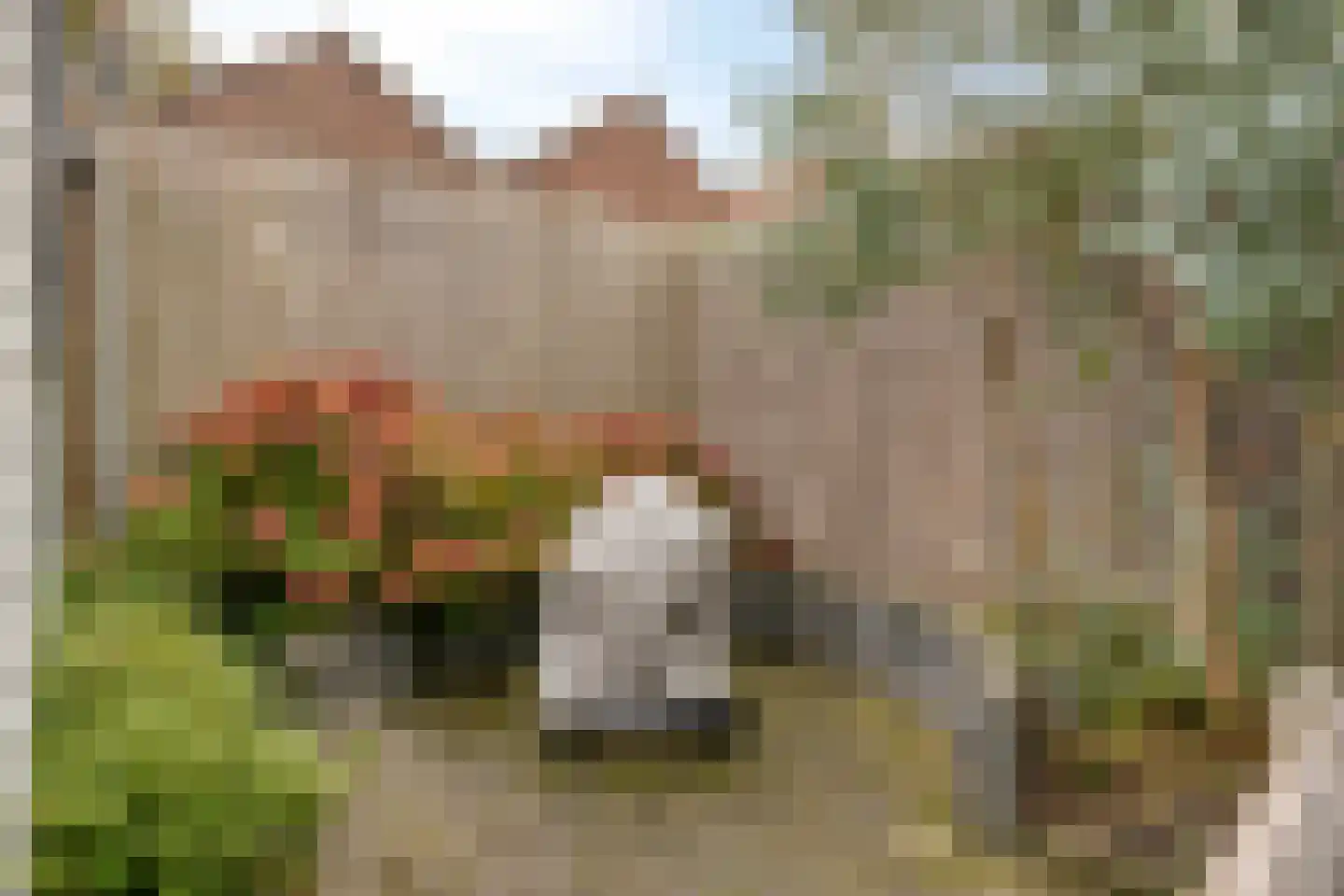 Singel 284 Vlissingen thumbnail 37