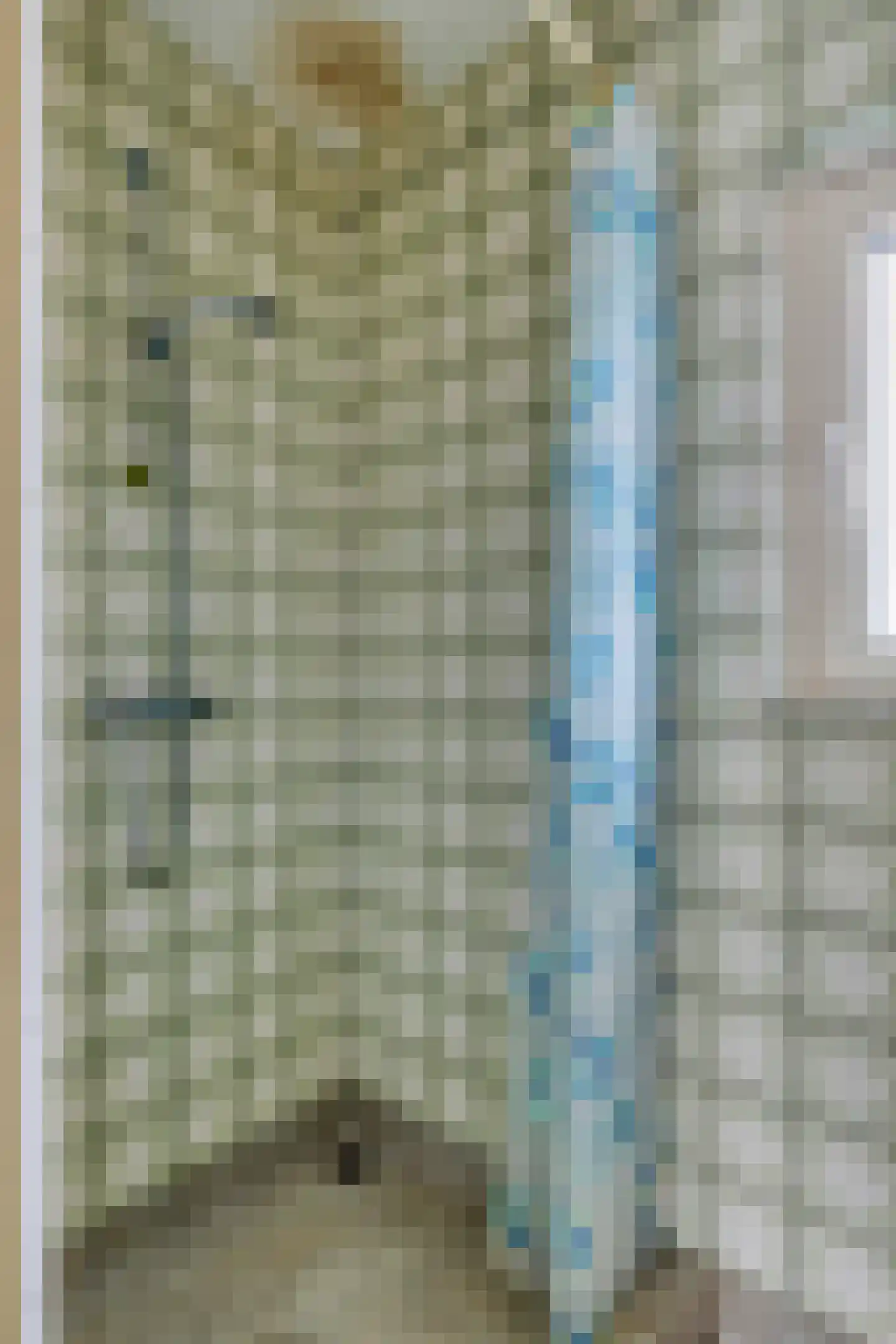 Singel 29 Domburg thumbnail 24