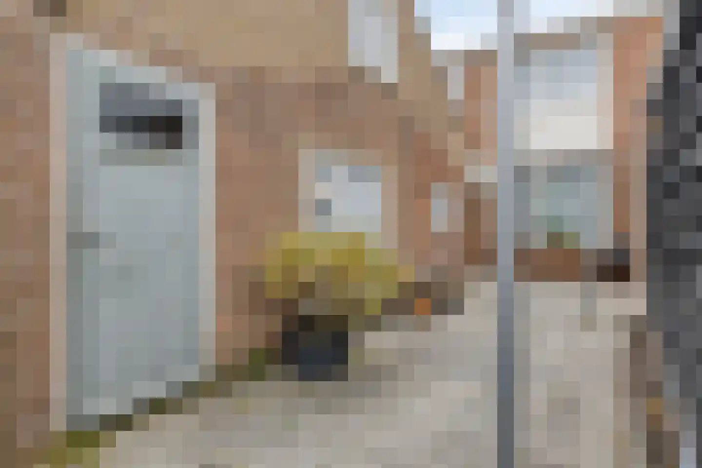 Singel 29 Domburg thumbnail 26