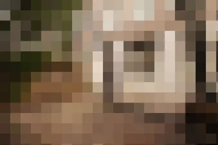 Singel 29 Domburg thumbnail 30