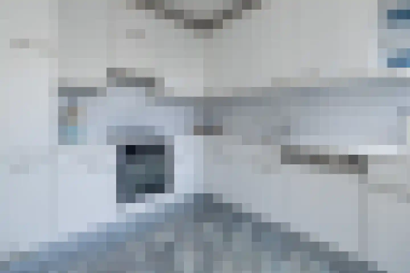 Singel 29 Odijk thumbnail 15