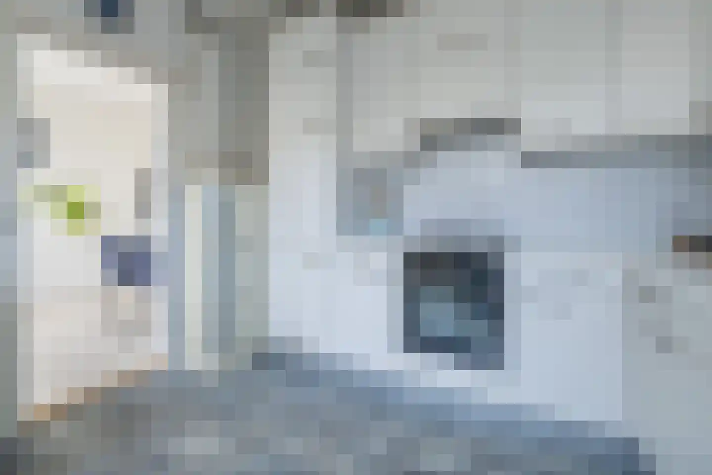 Singel 29 Odijk thumbnail 16