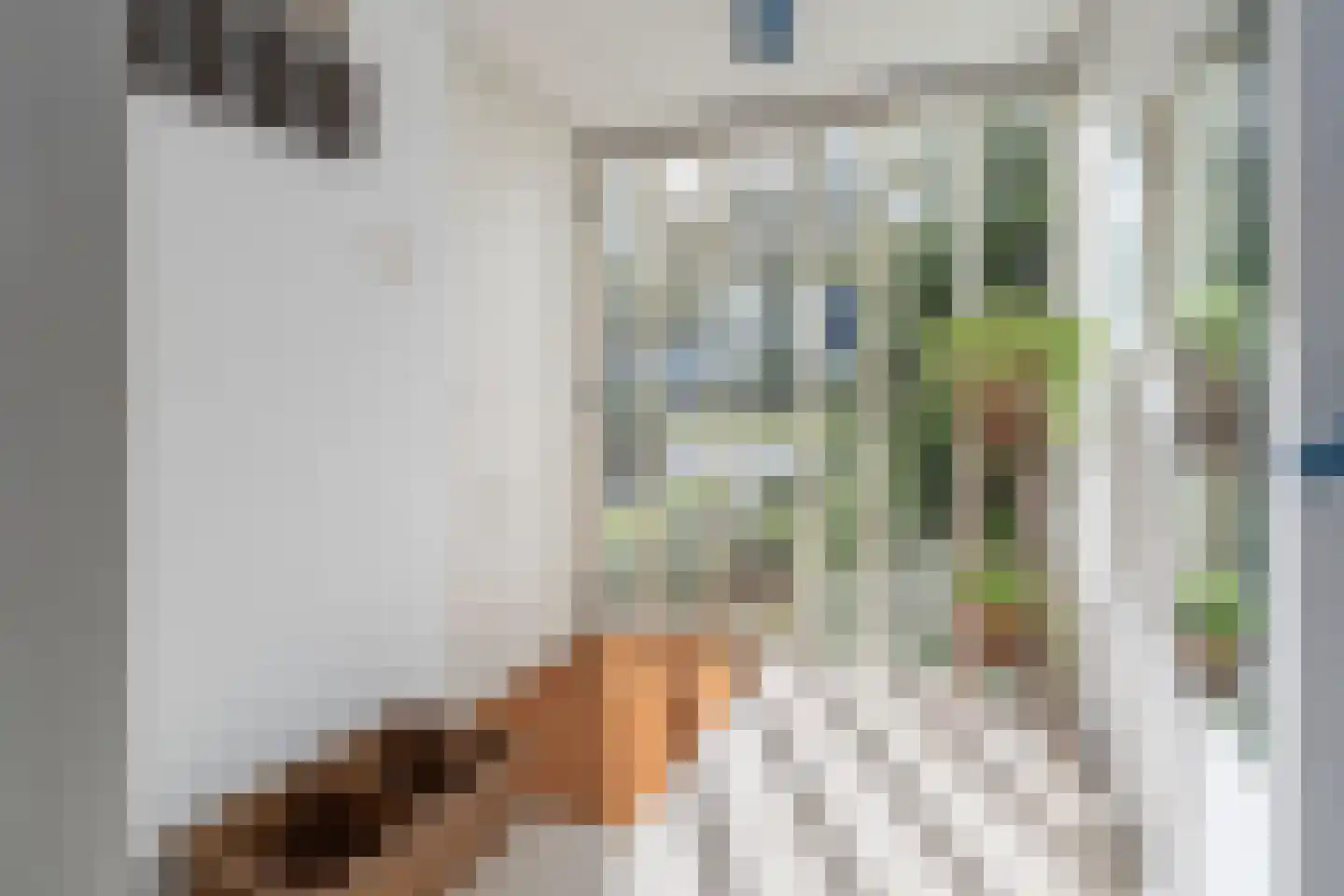Singel 29 Odijk thumbnail 18