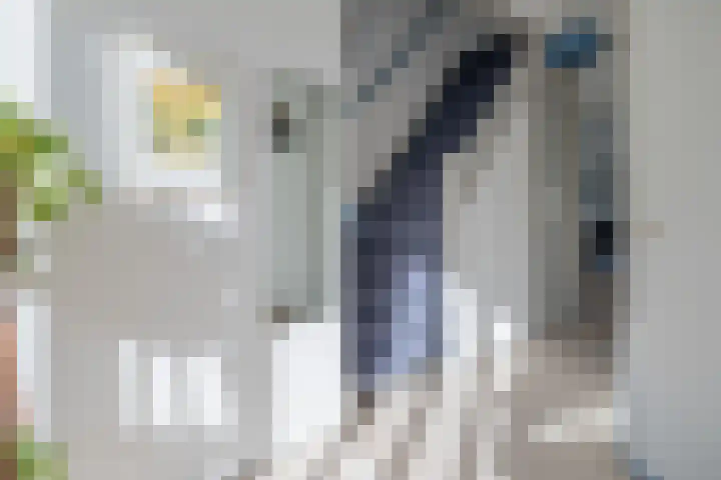 Singel 29 Odijk thumbnail 19