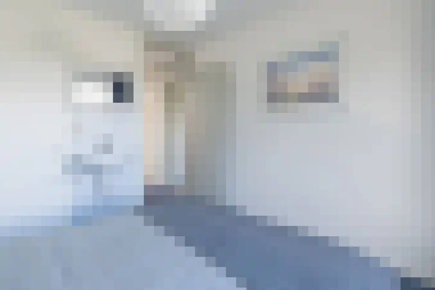 Singel 29 Odijk thumbnail 26