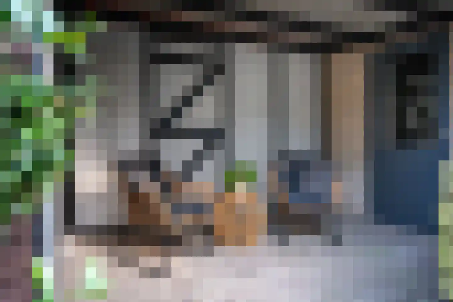 Singel 29 Odijk thumbnail 38