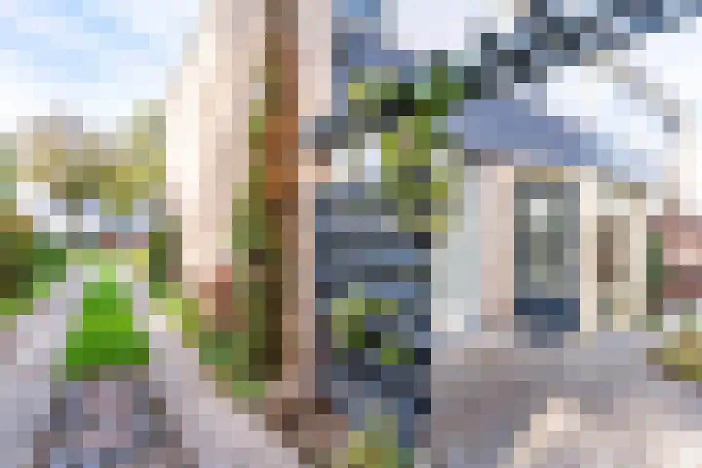 Singel 29 Odijk thumbnail 44