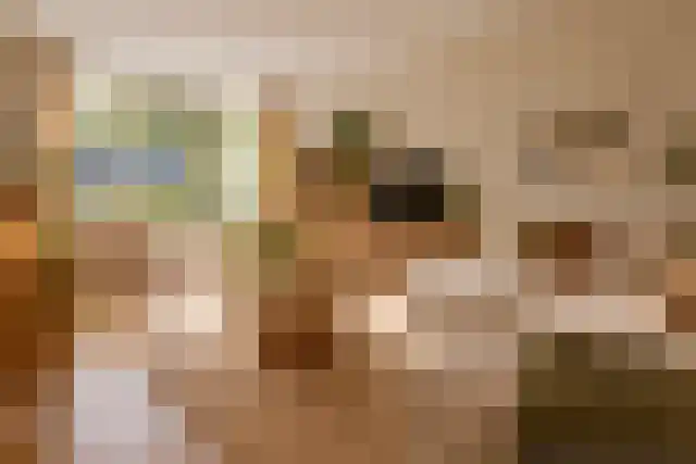 Singel 29 Odijk thumbnail 5