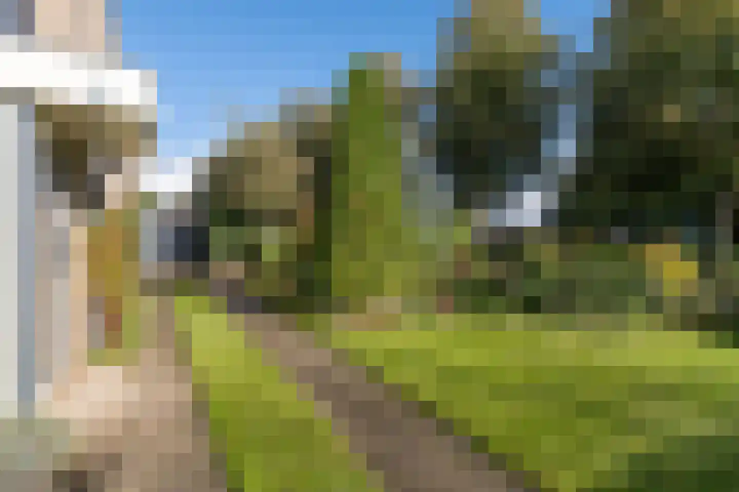 Singel 29 Odijk thumbnail 50