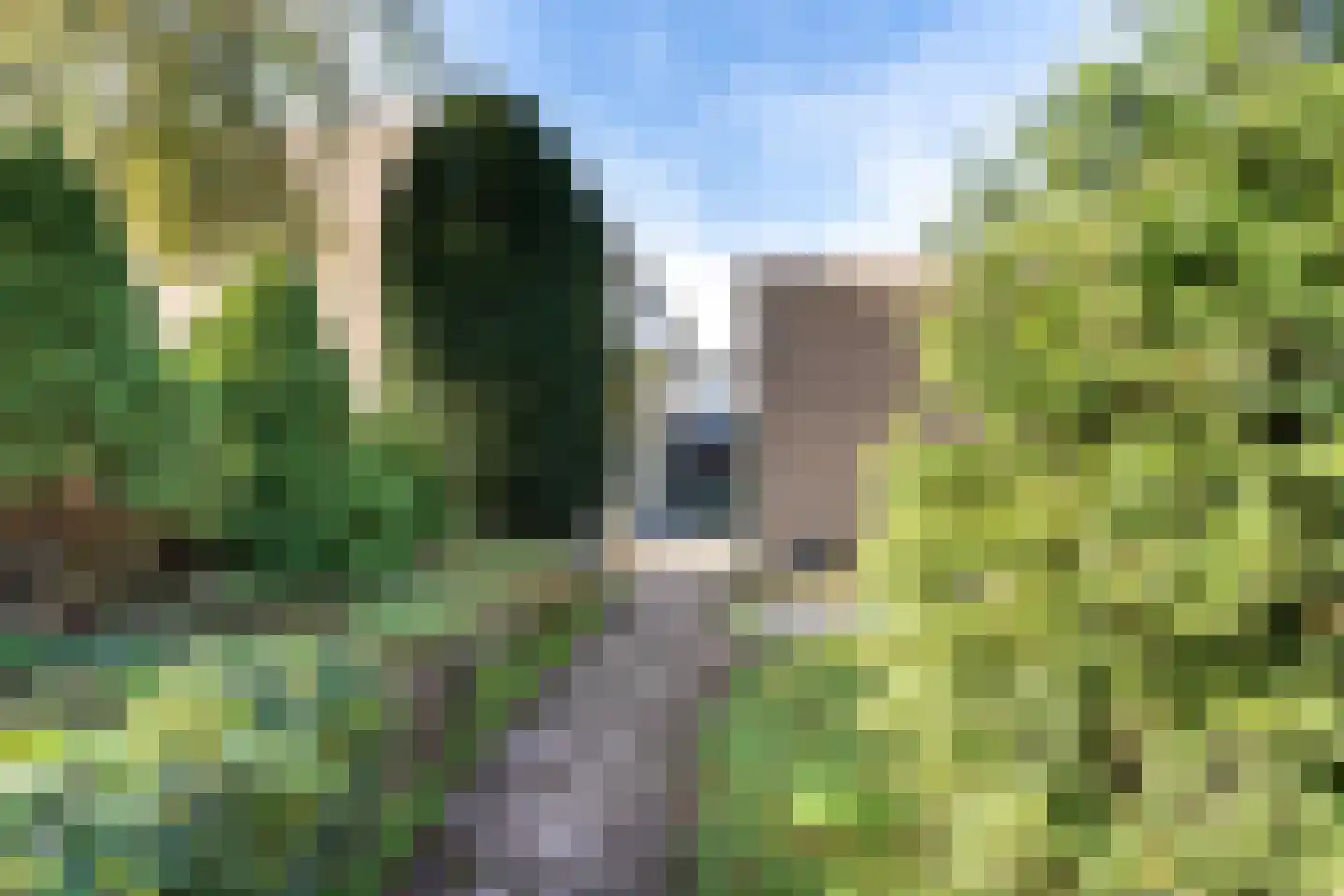 Singel 29 Odijk thumbnail 58