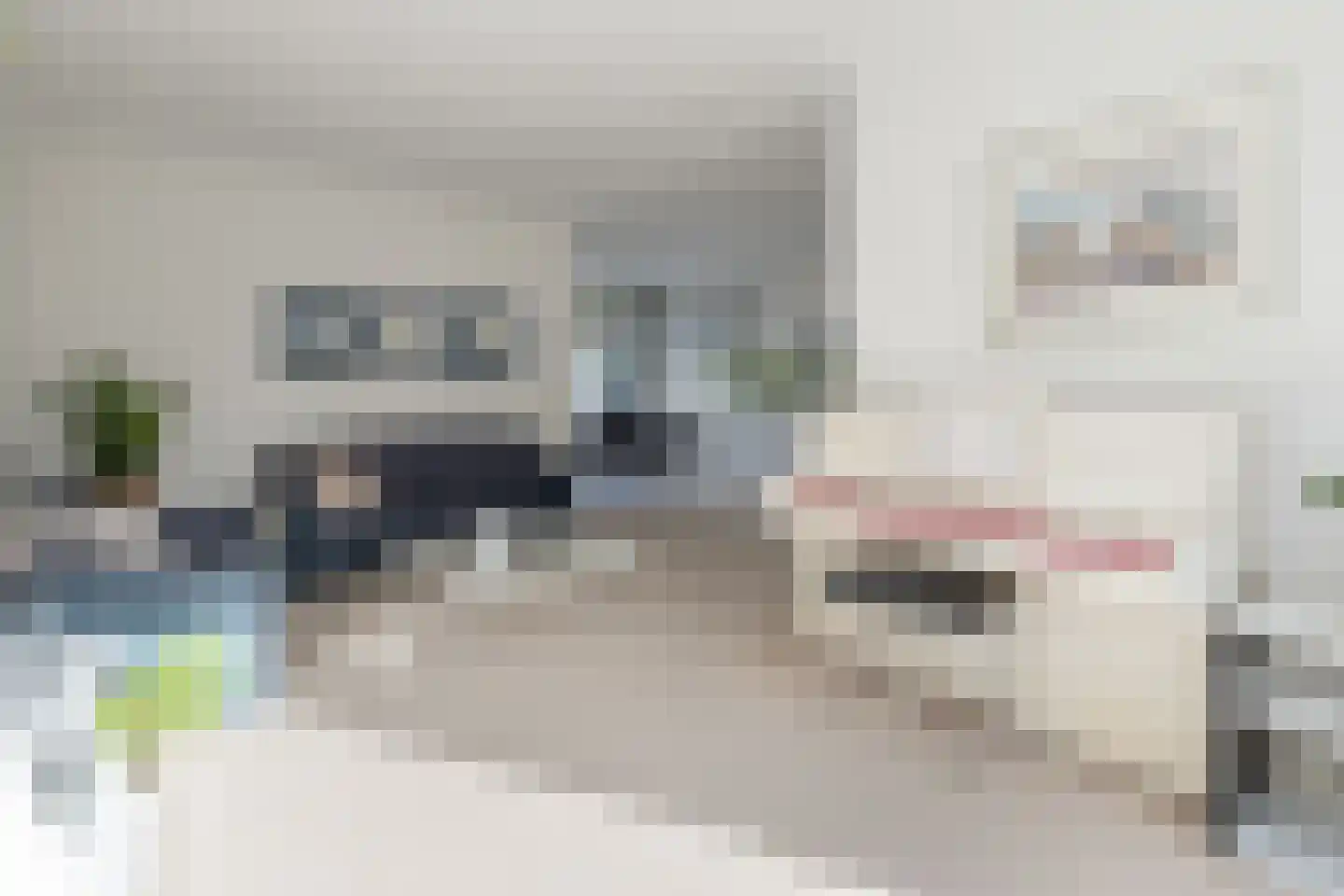 Singel 29 Odijk thumbnail 6