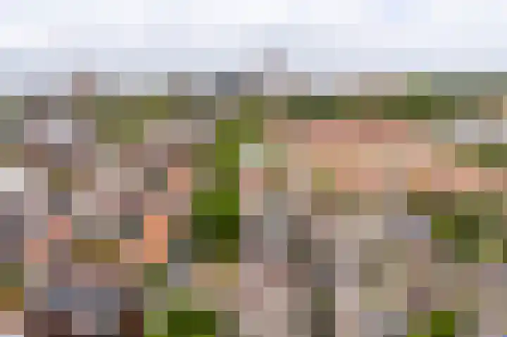 Singel 29 Vlissingen thumbnail 5