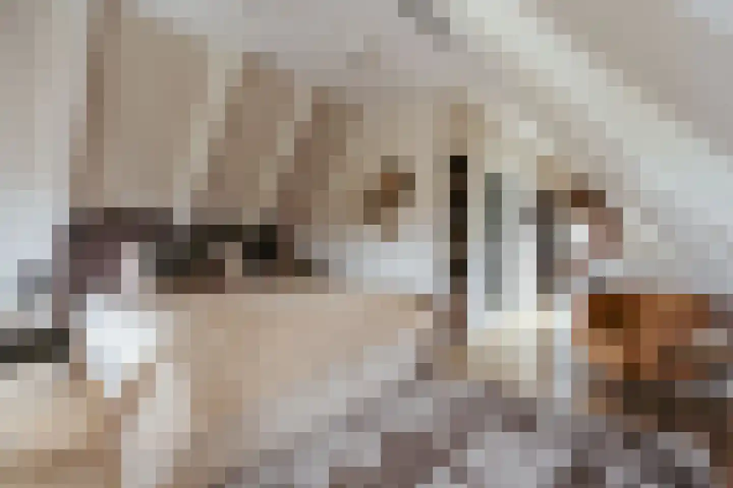 Singel 299 H Amsterdam thumbnail 24