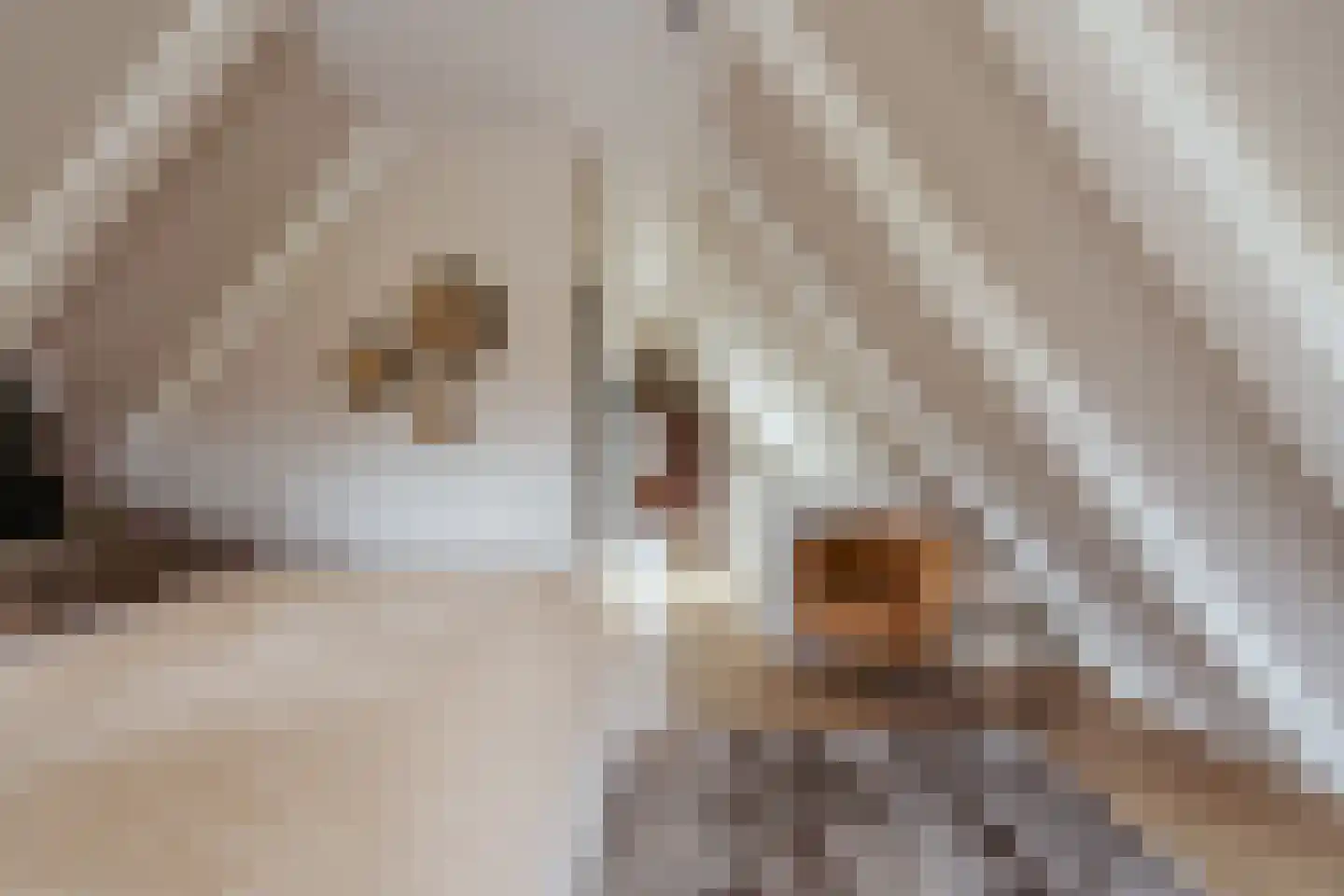 Singel 299 H Amsterdam thumbnail 30