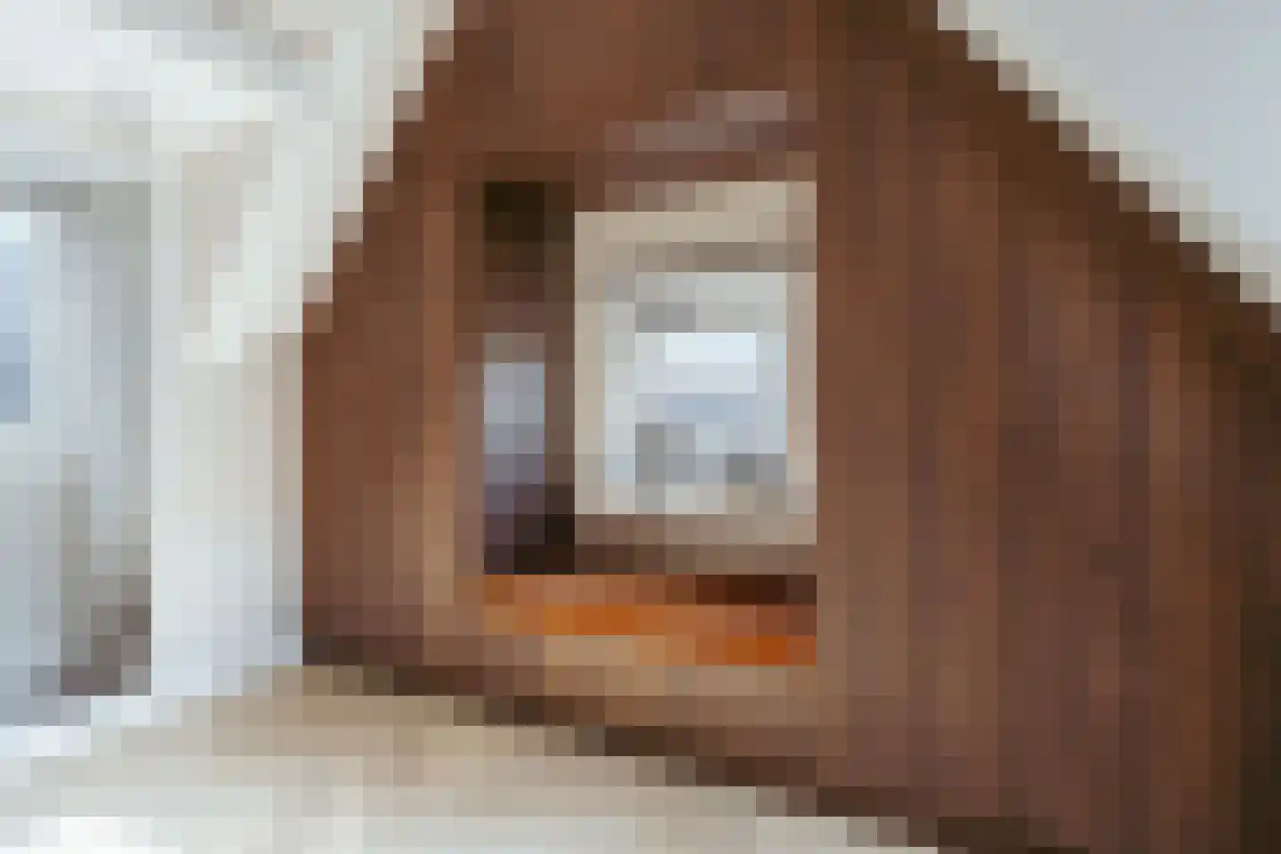 Singel 299 H Amsterdam thumbnail 32