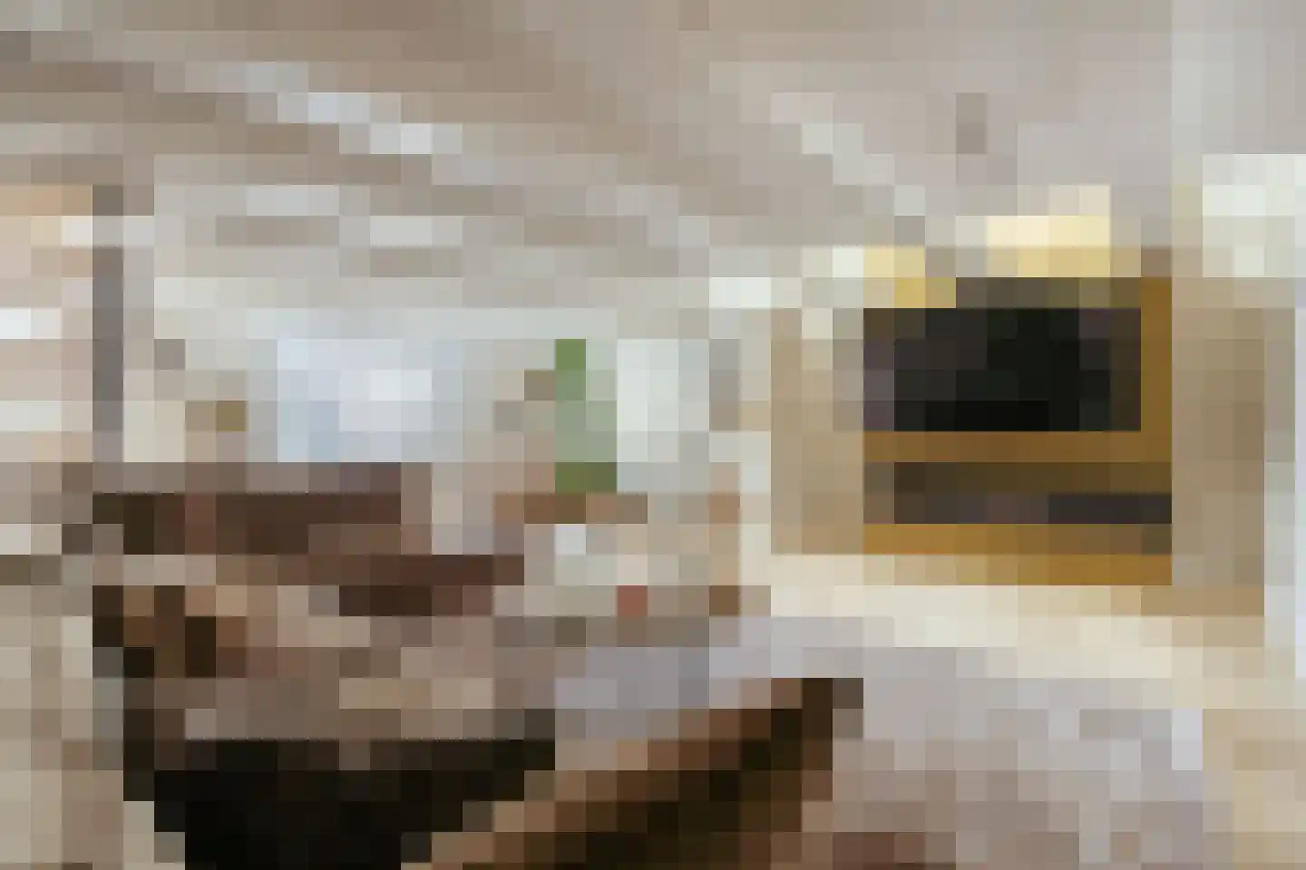 Singel 299 H Amsterdam thumbnail 9