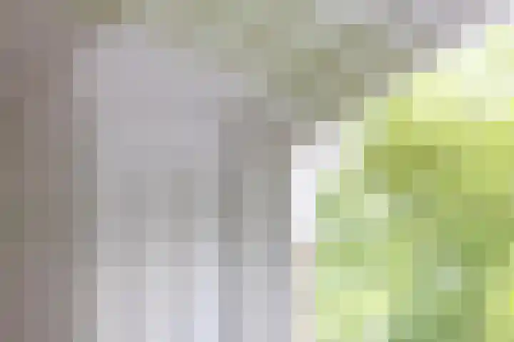 Singel 3 Deventer thumbnail 13