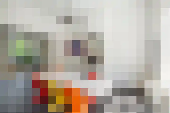 Singel 3 Deventer thumbnail 15