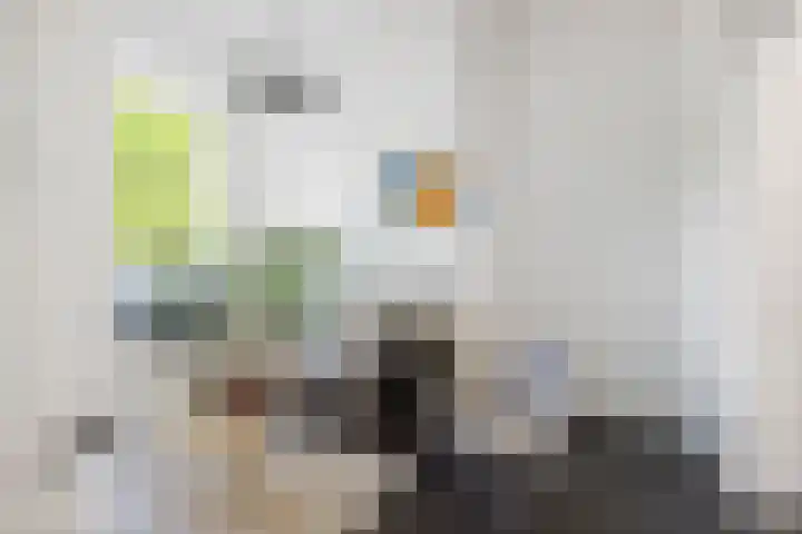 Singel 3 Deventer thumbnail 18