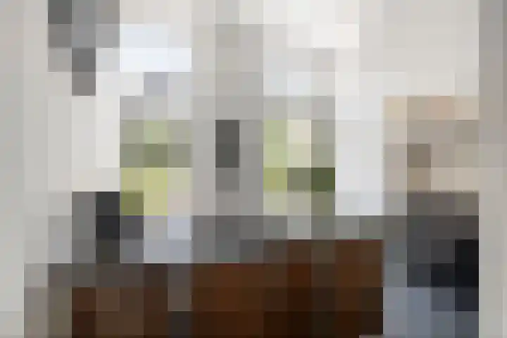 Singel 3 Deventer thumbnail 20