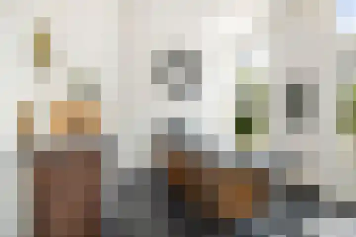 Singel 3 Deventer thumbnail 22