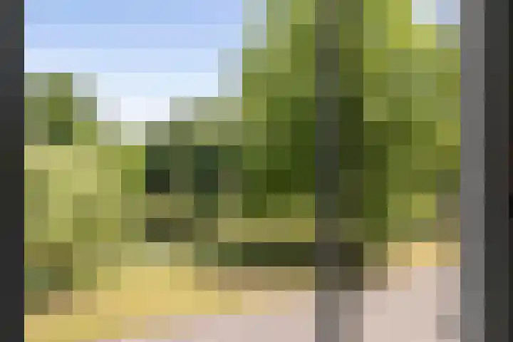 Singel 3 Deventer thumbnail 30