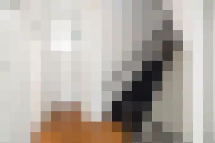Singel 3 Deventer thumbnail 31