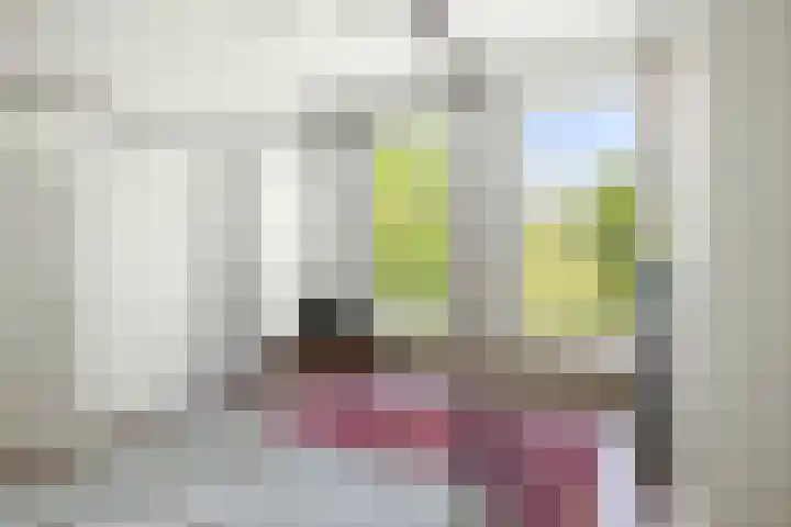 Singel 3 Deventer thumbnail 33