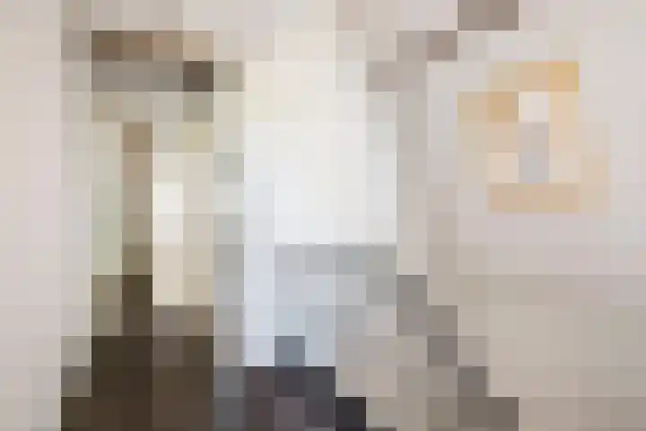 Singel 3 Deventer thumbnail 43