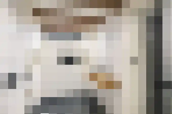 Singel 3 Deventer thumbnail 54