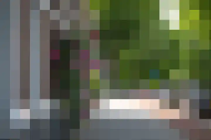 Singel 3 Deventer thumbnail 57