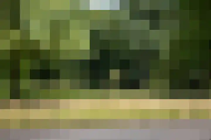 Singel 3 Deventer thumbnail 58