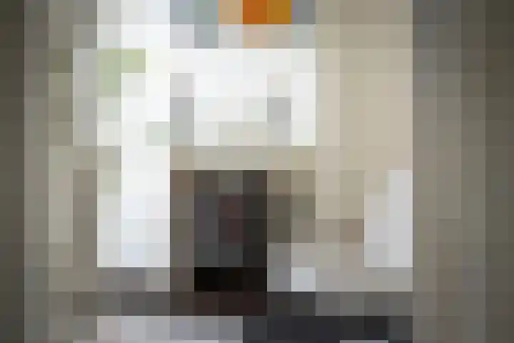 Singel 3 Deventer thumbnail 6