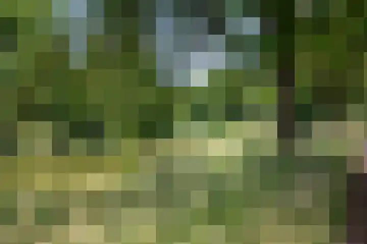 Singel 3 Deventer thumbnail 60