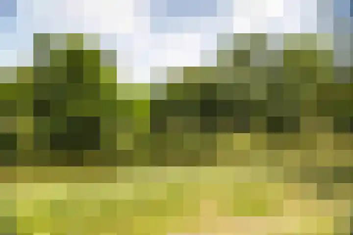 Singel 3 Deventer thumbnail 61